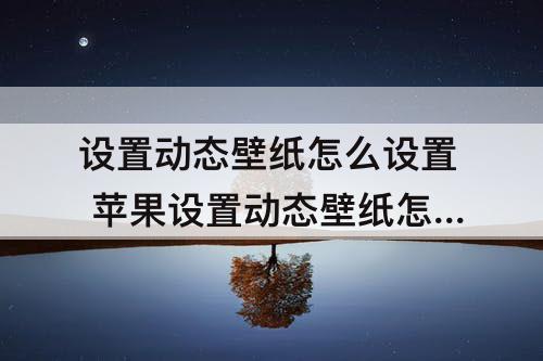 设置动态壁纸怎么设置 苹果设置动态壁纸怎么设置视频