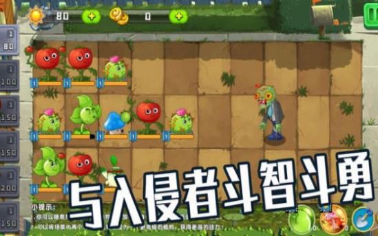 植物僵尸大作战  v2.8.2图2