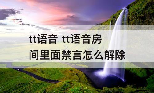 tt语音 tt语音房间里面禁言怎么解除