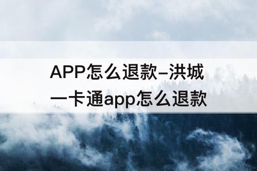 APP怎么退款-洪城一卡通app怎么退款