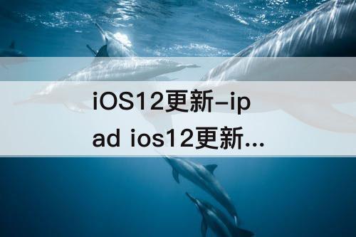iOS12更新-ipad ios12更新描述文件