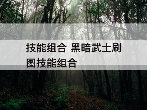 技能组合 黑暗武士刷图技能组合