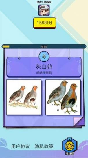 飞鸟乐园红包版  v1.3.1图1