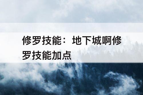 修罗技能：地下城啊修罗技能加点