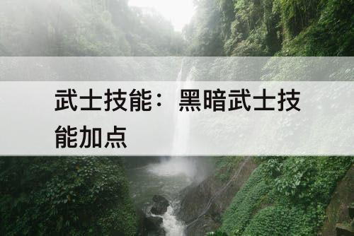 武士技能：黑暗武士技能加点
