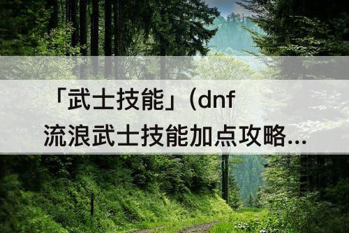 「武士技能」(dnf流浪武士技能加点攻略)