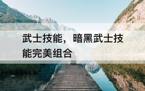 武士技能，暗黑武士技能完美组合
