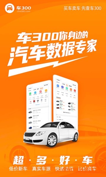 车300二手车  v5.2.6.03图2