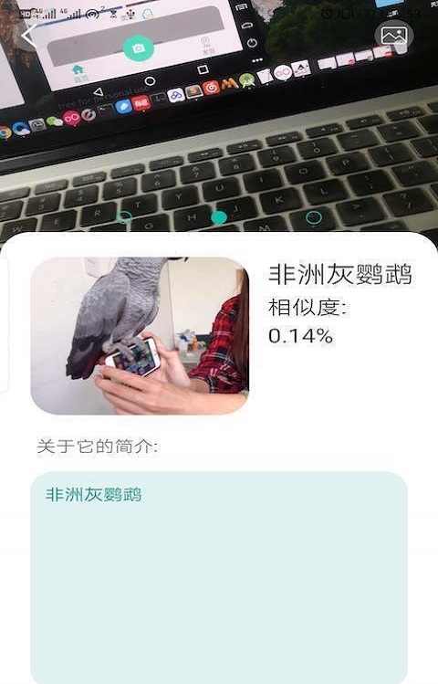 天天识别不用会员下载  v1.0图1