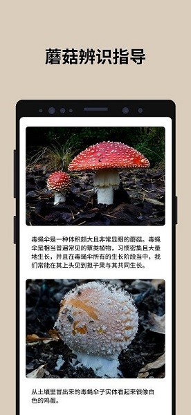 蘑菇识别扫一扫安卓版  v2.9.17图3