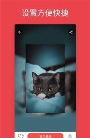 壁纸中心  v1.1图1