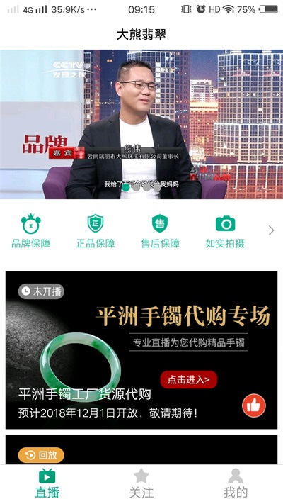 大熊翡翠原石  v1.0图3