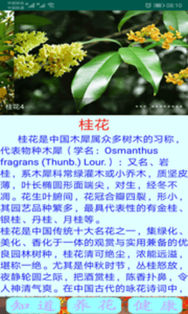 绿植花卉2024