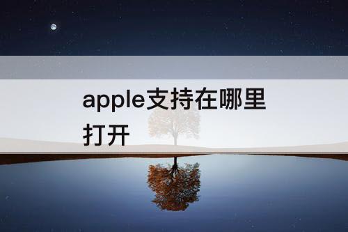 apple支持在哪里打开