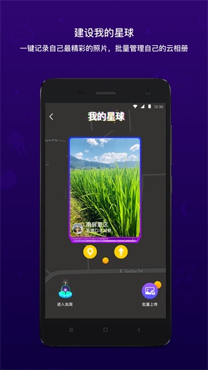 脸球下载苹果