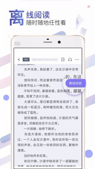 饭团小说Pro最新版