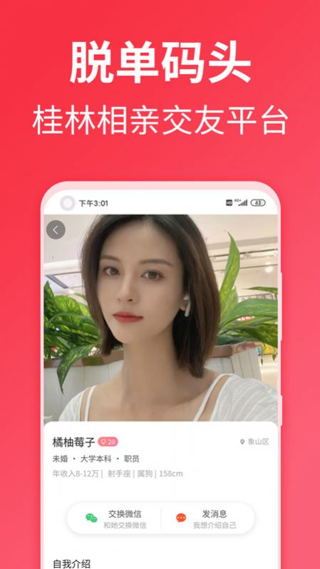 脱单码头2024  v1.0.26图1