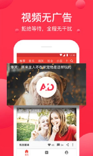西瓜视频电视剧免费观看星落凝成糖