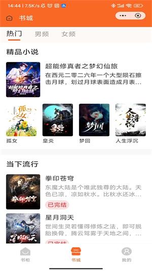 烟火书廊小说我还年轻免费阅读