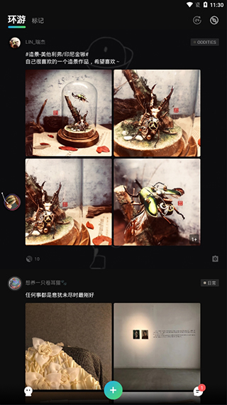 兔岛下载安卓  v0.2.6.192图1