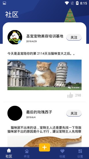 宝贝宠物手机版下载安装苹果版  v1.0.2图2