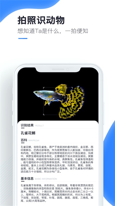 百科扫描王免费破解软件下载安卓手机  v1.0.0图1