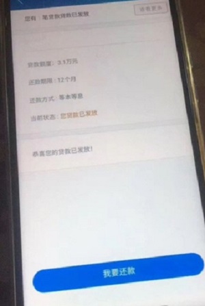 金蝶效贷手机版下载官网安装  v9.0.95图1