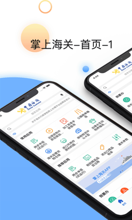 掌上海关  v3.2.8图2