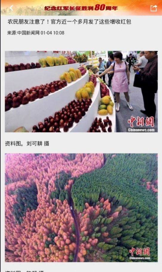 东北新闻网直播视频回看  v1.5图1