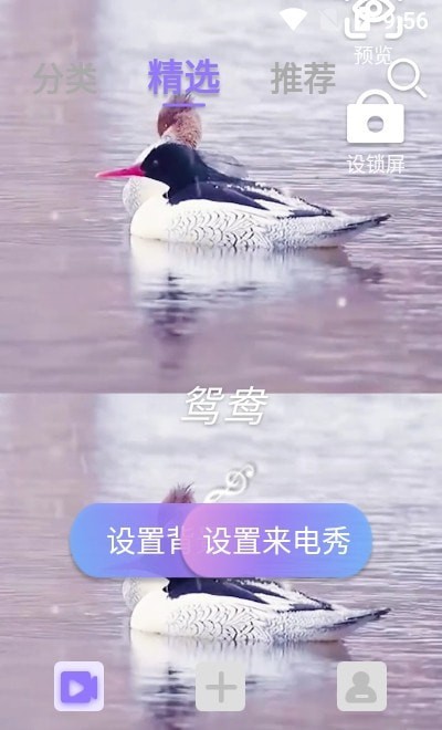 视频铃声来电秀2024  v2.2.0图3