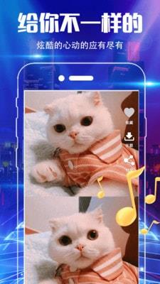 魔音彩铃手机版下载官网安卓安装最新版