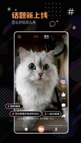 河豚小视频手机版下载免费  v1.0.0图3