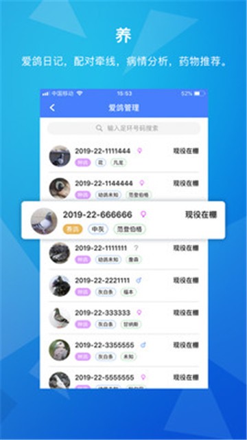 天下鸽谱最新版