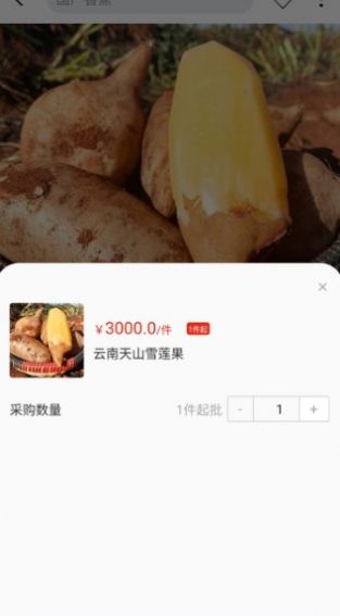 天蕉云果  v1.0.0图1