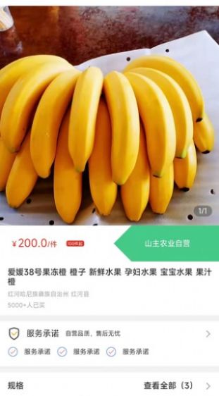天蕉云果  v1.0.0图3