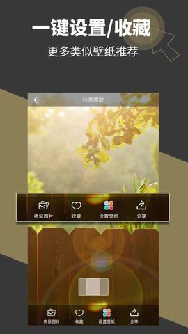 壁纸多多破解版  v5.3.0.2图1