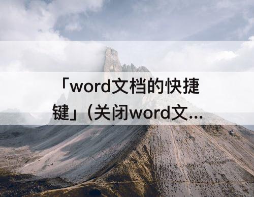 「word文档的快捷键」(关闭word文档的快捷键)