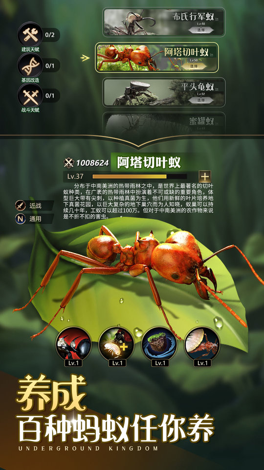 小小蚁国37手游官网