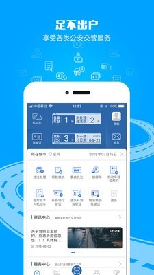 交管12123新版下载安装  v2.4.8图2