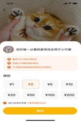 财猫双犬  v1.0.0图1