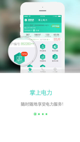 网上国网app下载官网旧版  v2.0.5图2