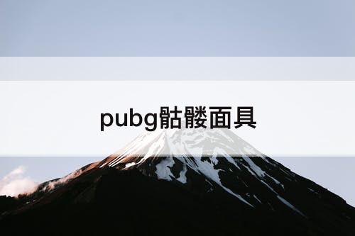 pubg骷髅面具