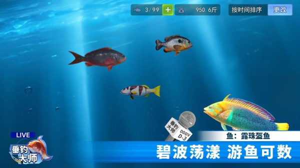 海洋垂钓大师下载破解版安装最新版  v1.0.0图2