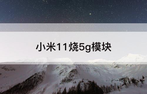 小米11烧5g模块