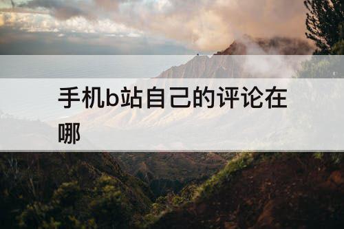 手机b站自己的评论在哪