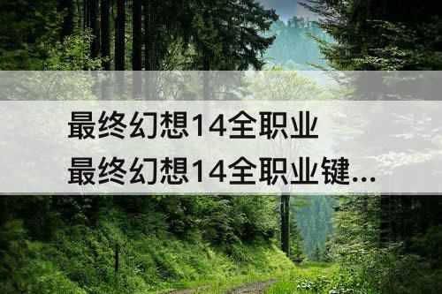 最终幻想14全职业 最终幻想14全职业键位设置