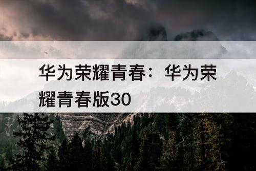 华为荣耀青春：华为荣耀青春版30